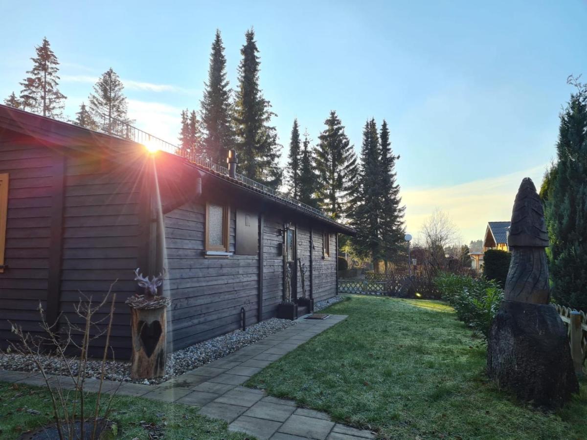 Huettenflair Am See Mit Kamin Clausthal-Zellerfeld Exteriör bild