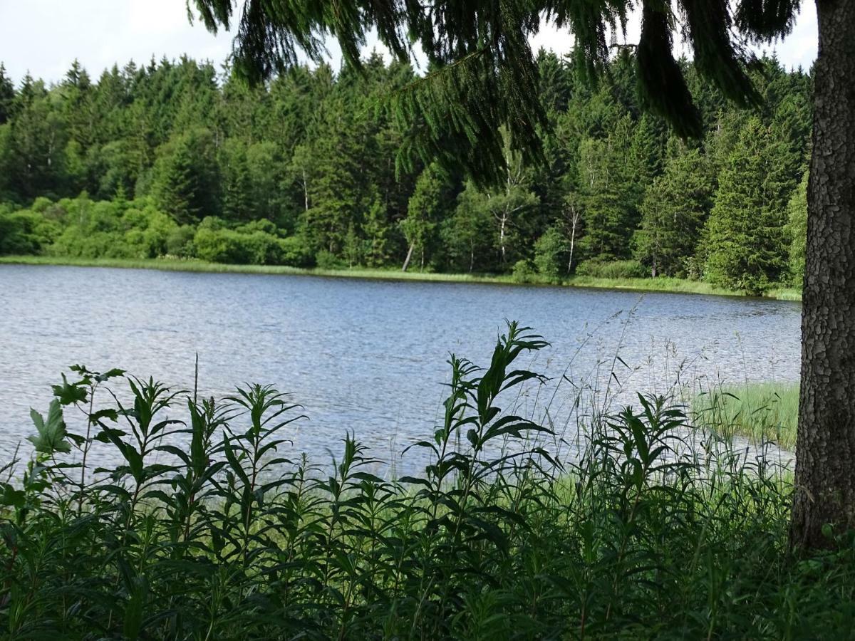 Huettenflair Am See Mit Kamin Clausthal-Zellerfeld Exteriör bild