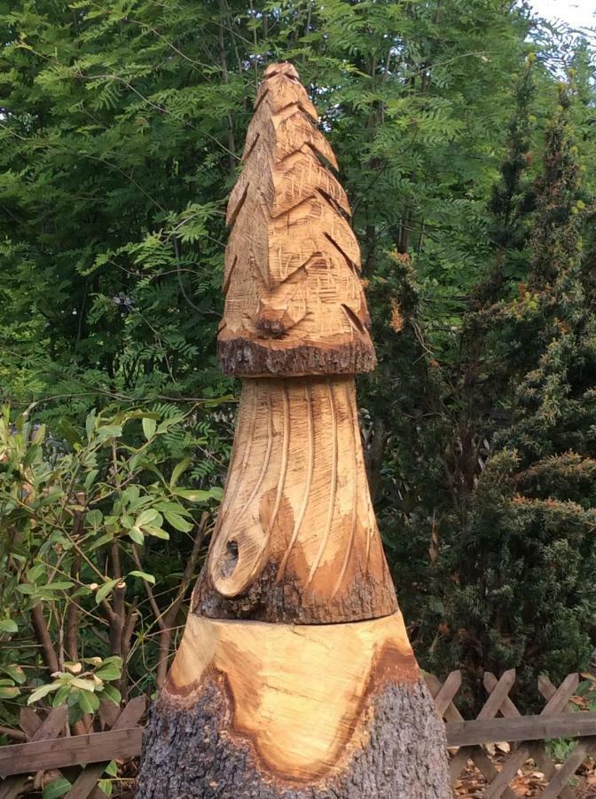 Huettenflair Am See Mit Kamin Clausthal-Zellerfeld Exteriör bild